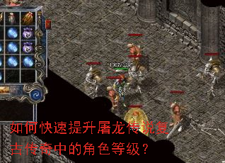 ��ο�������������˵���Ŵ����еĽ�ɫ�ȼ���