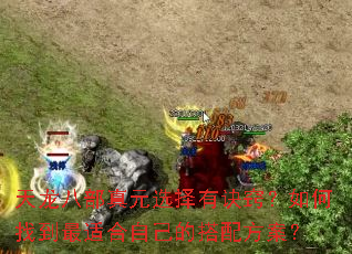 天龙八部真元选择有诀窍?如何找到最适合自己的搭配方案? 天龙八部真元选择有诀窍?如何找到最适合自己的搭配方案?