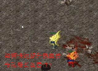 ��ο���������Ѫ����˽��װ�����ԣ�