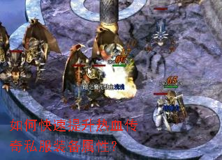 ��ο���������Ѫ����˽��װ�����ԣ�