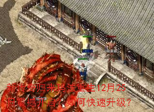 �´�������귨����12��25���𺳿�������ο���������