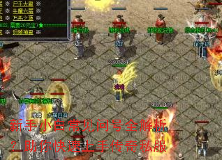 ����С�׳����ʺ�ȫ����������������ִ���˽��