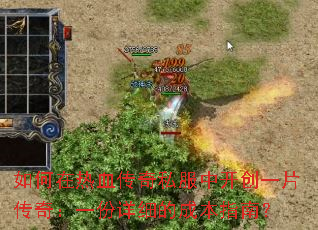 �������Ѫ����˽���п���һƬ���棺һ����ϸ�ĳɱ�ָ�ϣ�