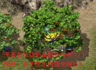 �޶��⴫͢�浥ְҵ�������ű��䣺���ֳ�������ȫ���