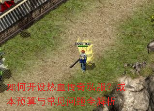 ��ο�����Ѫ����˽�����ɱ�Ԥ���볣������ȫ����