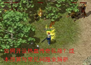 ��ο�����Ѫ����˽�����ɱ�Ԥ���볣������ȫ����