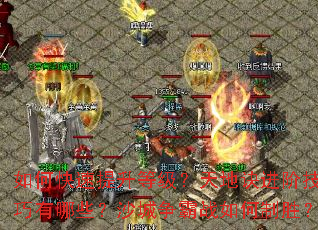 ��ο��������ȼ�����ؾ����׼�������Щ��ɳ������ս�����ʤ��