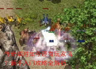 传奇端游如今还有玩家吗?新手入门攻略全解析 传奇端游如今还有玩家吗?新手入门攻略全解析