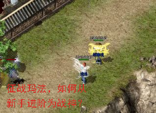 征战玛法,如何从新手进阶为战神? 征战玛法,如何从新手进阶为战神?