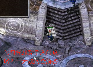 ����˽���������Ź��ԣ�ʮ������ȫ���