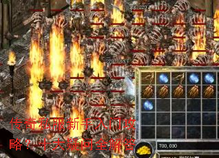 ����˽���������Ź��ԣ�ʮ������ȫ���