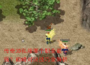 ����3D˽���ĸ�ְҵ��ǿ���۷�Ծ�����ȫ����