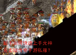 ������ο�������Ԫ��ϻ��洫������˽����