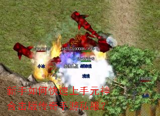 ������ο�������Ԫ��ϻ��洫������˽����