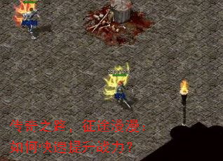 ����֮·����;��������ο�������ս����