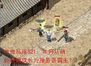 ����˽��021����δ����¿��ٳɳ�Ϊ������������