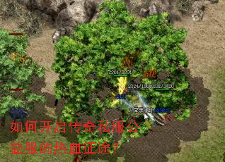 ��ο�������˽�����������Ѫ��;��