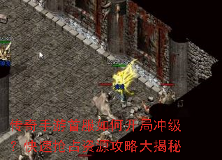 ���������׷���ο��ֳ弶��������ռ��Դ���Դ����