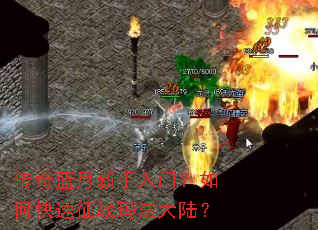 ���������������ţ���ο�����ս�귨��½��