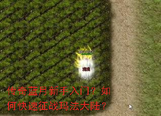 ���������������ţ���ο�����ս�귨��½��