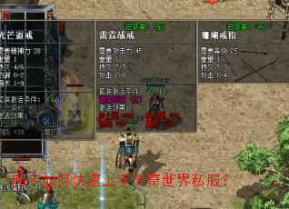 ������ο������ִ�������˽����