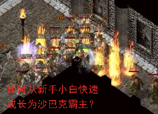 ��δ�����С�׿��ٳɳ�Ϊɳ�Ϳ˰�����