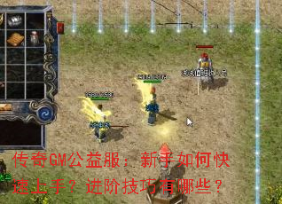 ����GM�������������ο������֣����׼�������Щ��