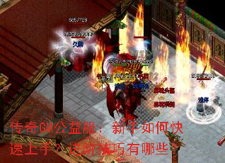 ����GM�������������ο������֣����׼�������Щ��