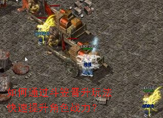 ���ͨ�����ҽ����淨����������ɫս����
