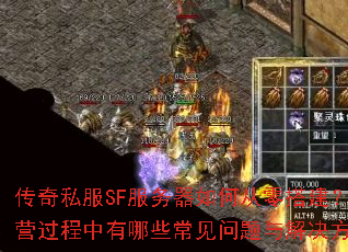 ����˽��SF��������δ�������Ӫ����������Щ������������������