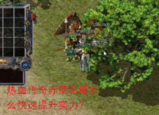 ��Ѫ������˽����ô��������ʵ����