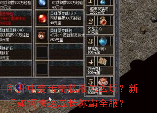 �տ��б䴫��˽����ô�棿������ο��ٳɳ��ư�ȫ����