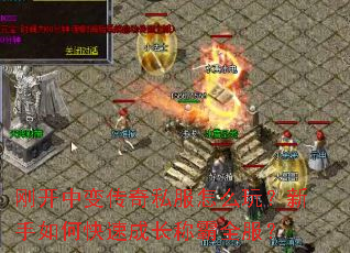 �տ��б䴫��˽����ô�棿������ο��ٳɳ��ư�ȫ����