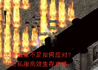 ��ʦѪ���������Ӧ�ԣ�����˽����Ч���湥��