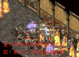 ���Ŵ��濪��ն������ô���أ��������ų���������