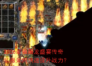 2026��ǿ����ʢ�紫��˽����ο�������ս����