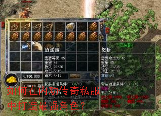 ������ڹ�����˽���д�����ǿ��ɫ��