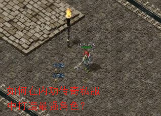 ������ڹ�����˽���д�����ǿ��ɫ��