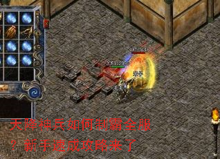 �콵�������ư�ȫ���������ٳɹ�������