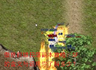 傲世群雄扫荡副本攻略:SF的含义与运用你了解多少? 傲世群雄扫荡副本攻略:SF的含义与运用你了解多少?