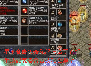 星王合击传奇私服怎么玩?新手技能装备合击技巧全解析 星王合击传奇私服怎么玩?新手技能装备合击技巧全解析