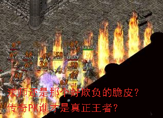 ��ʦ�����Ǹ����۸��Ĵ�Ƥ������PK˭�����������ߣ�