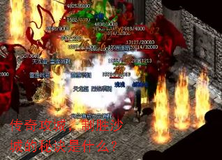 ���湥�ǣ���ʤɳ�ǵ��ؾ���ʲô��