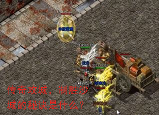 ���湥�ǣ���ʤɳ�ǵ��ؾ���ʲô��