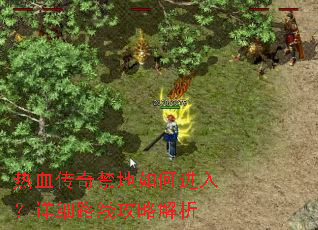 ��Ѫ���������ν��룿��ϸ·�߹��Խ���