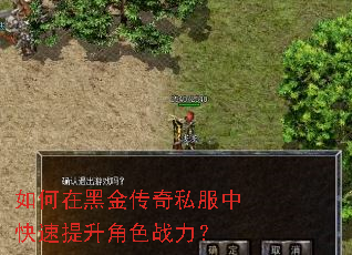 如何在黑金传奇私服中快速提升角色战力? 如何在黑金传奇私服中快速提升角色战力?