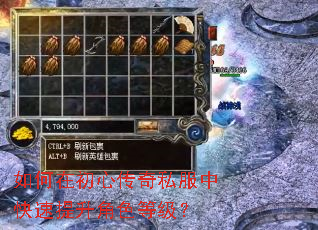 如何在初心传奇私服中快速提升角色等级? 如何在初心传奇私服中快速提升角色等级?