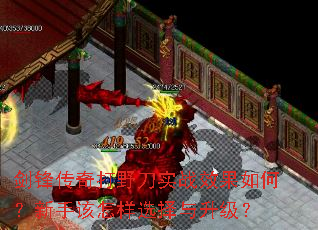 ���洫���Ұ��ʵսЧ����Σ����ָ�����ѡ����������