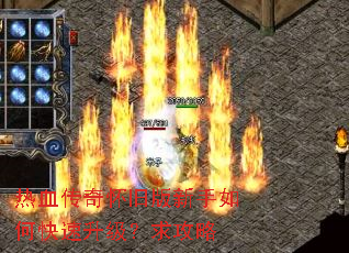 ��Ѫ���滳�ɰ�������ο�������������