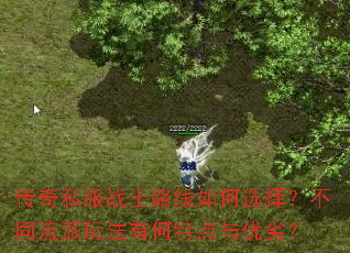 ����˽��սʿ·�����ѡ�񣿲�ͬ�����淨�к��ص������ӣ�